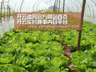 种植基地五