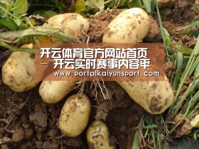 种植基地六