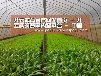 种植基地四