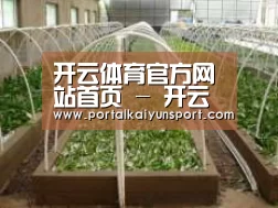 环境展示五