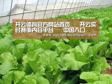 种植基地一