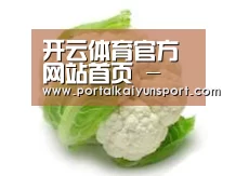 产品名称九